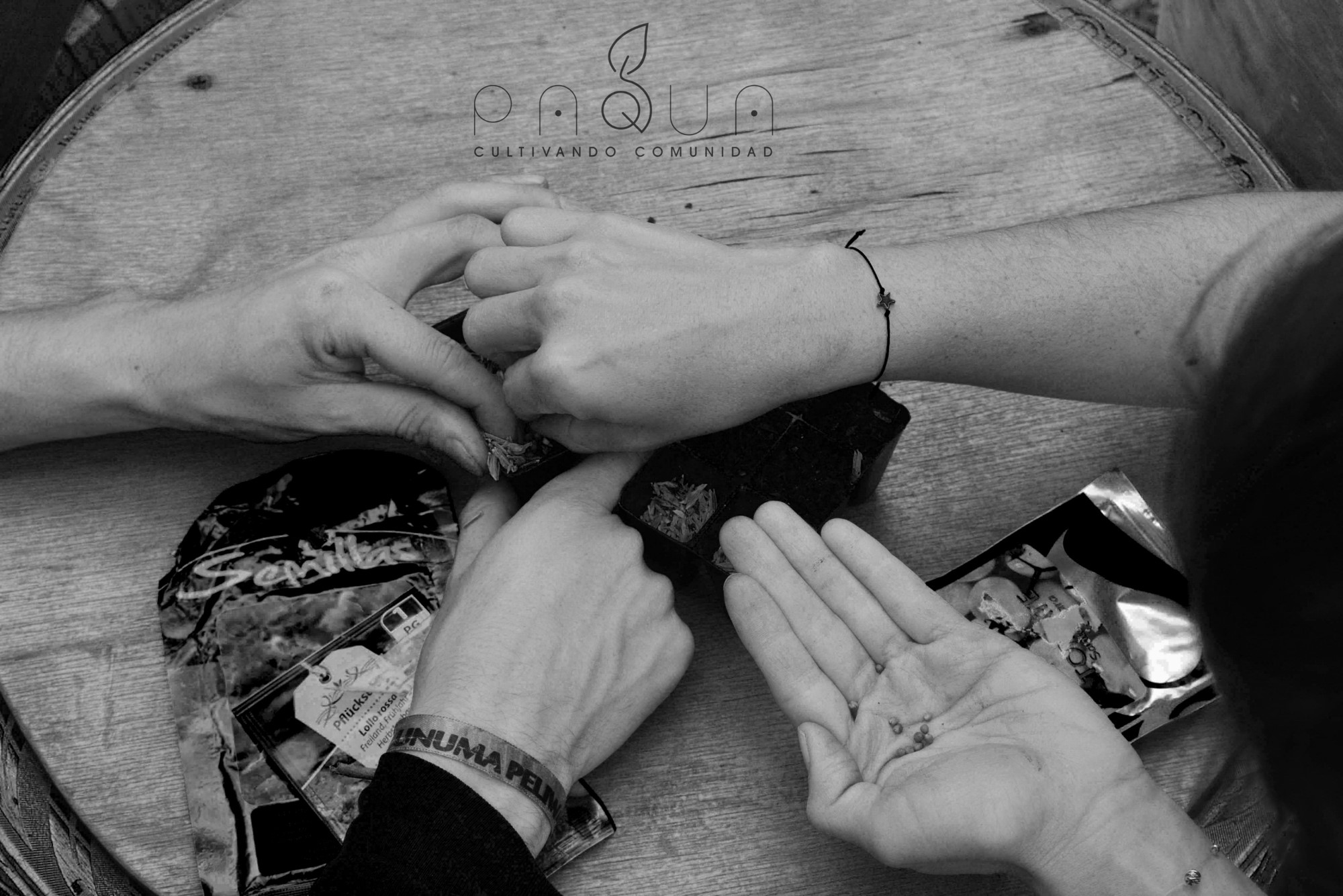 Agricultura Urbana e Hidroponía en Casa agricultura01